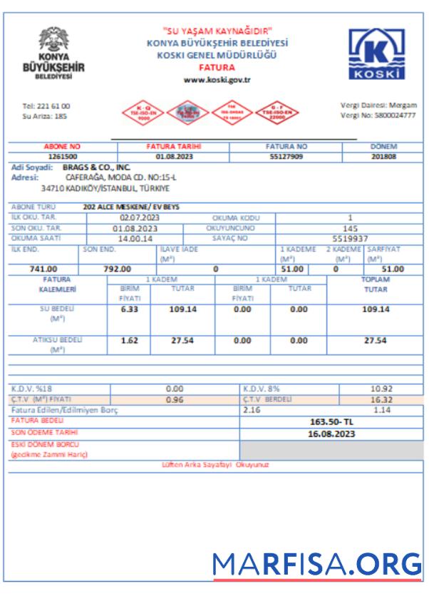 Downloadable Turkey water utility business bill, SCR download for verification